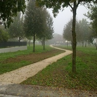 verde pubblico