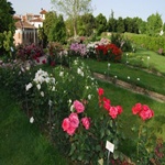 roseto santa giustina
